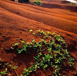 《荒野枪巫》四人合作更新发布 周末限时免费试玩